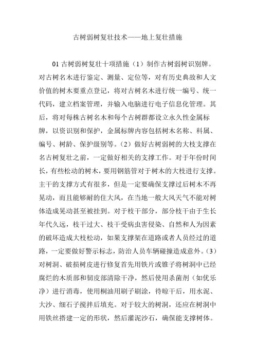古树弱树复壮技术——地上复壮措施