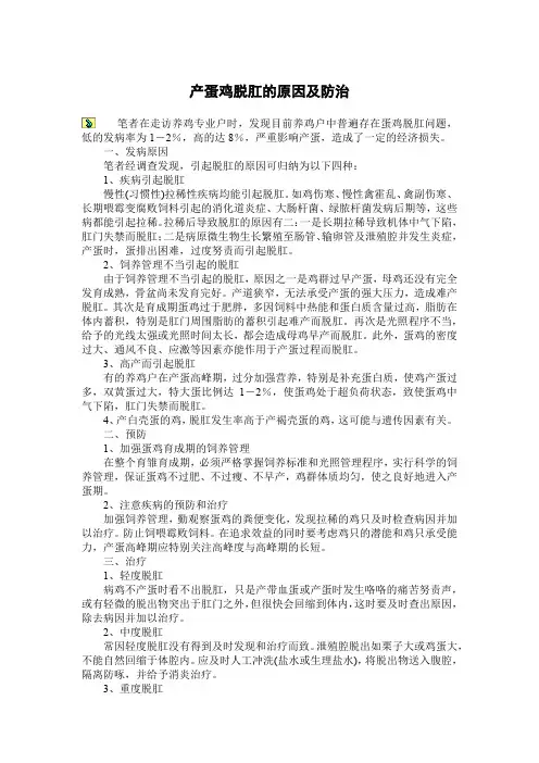 产蛋鸡脱肛的原因及防治(鸡蛋产蛋下降原因)养鸡技术