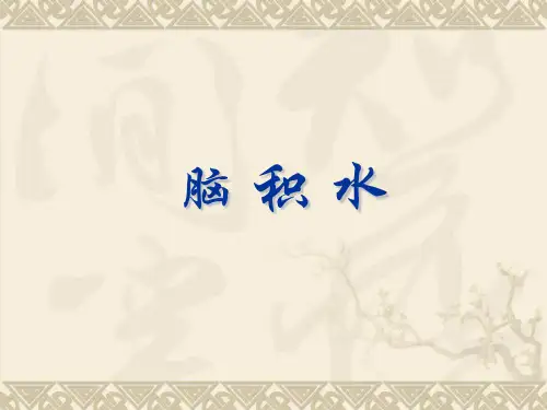 脑积水 PPT课件