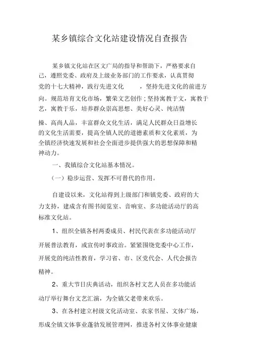 镇综合文化站建设情况自查报告