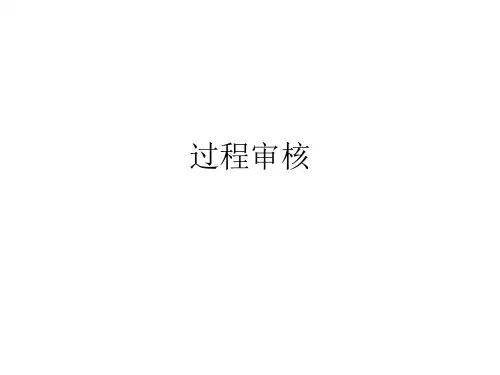 过程审核process audit
