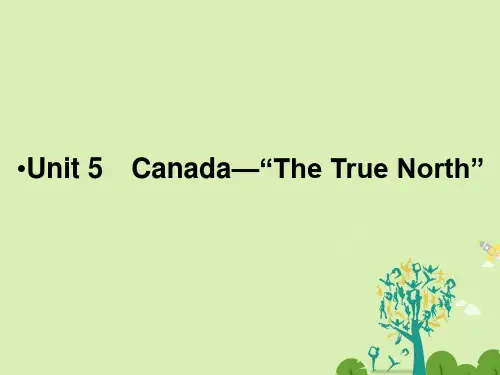 高考英语一轮复习 第一部分 模块知识 Unit 5 Canada-“The True North”课