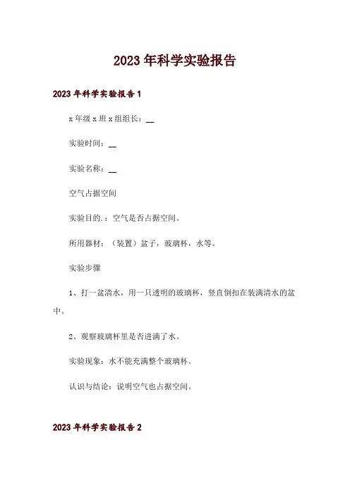 2023年科学实验报告