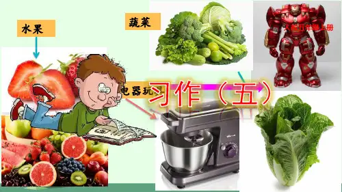 最新部编人教版五年级语文上册《习作五：介绍一种事物》教学课件