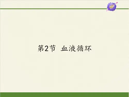 七年级生物下册课件-4.9.2 血液循环1-北师大版