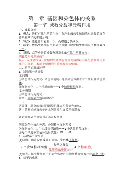 第二章基因和染色体的关系知识点总结2020-2021学年高一下学期生物人教版必修二