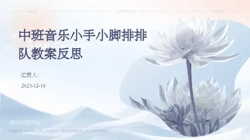 中班音乐小手小脚排排队教案反思