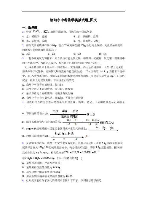 洛阳市中考化学模拟试题_图文
