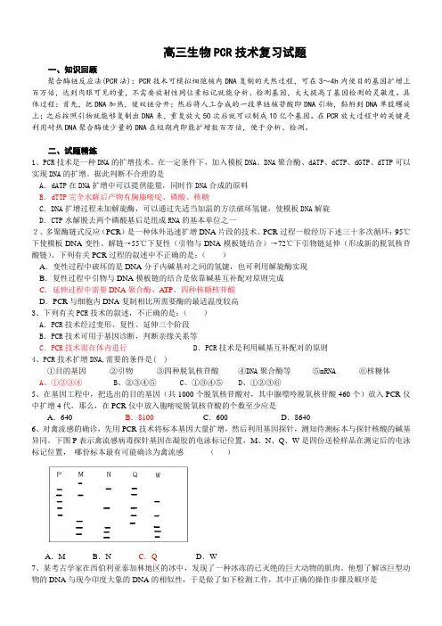高三生物pcr技术复习试题.doc