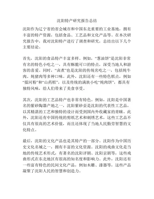 沈阳特产研究报告总结