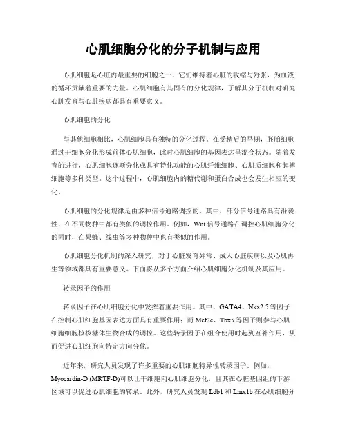 心肌细胞分化的分子机制与应用