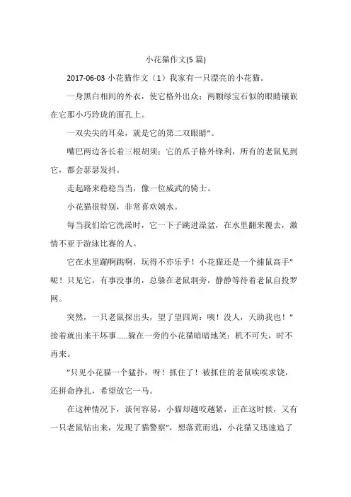 小花猫作文(5篇)