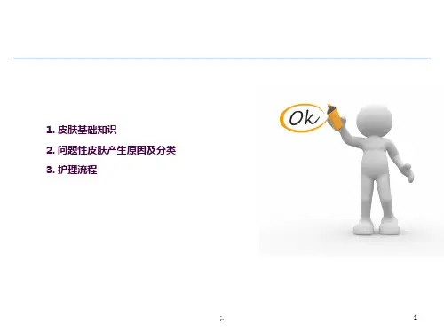 护肤保养基础知识 (护肤必备)ppt课件