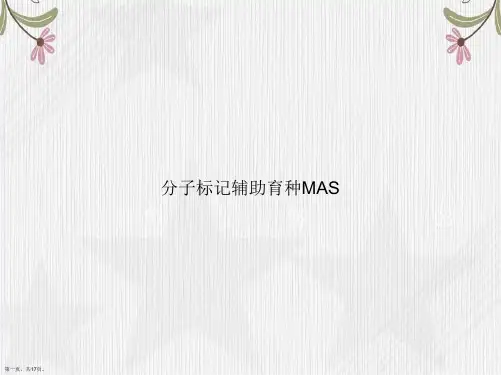 分子标记辅助育种MAS讲课文档