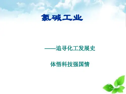 氯碱工业PPT课件(上课用)2