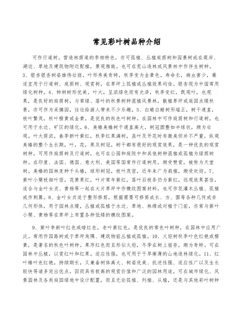 常见彩叶树品种介绍