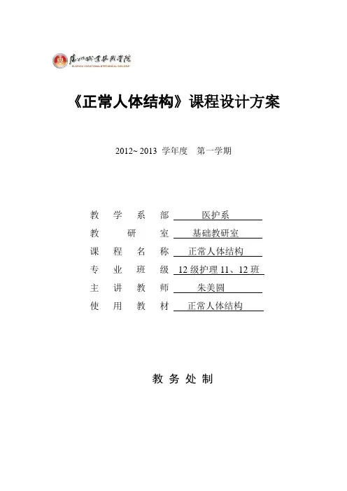 正常人体结构课程设计方案