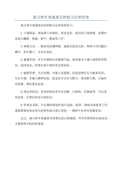露天种羊角蜜甜瓜种植方法和管理