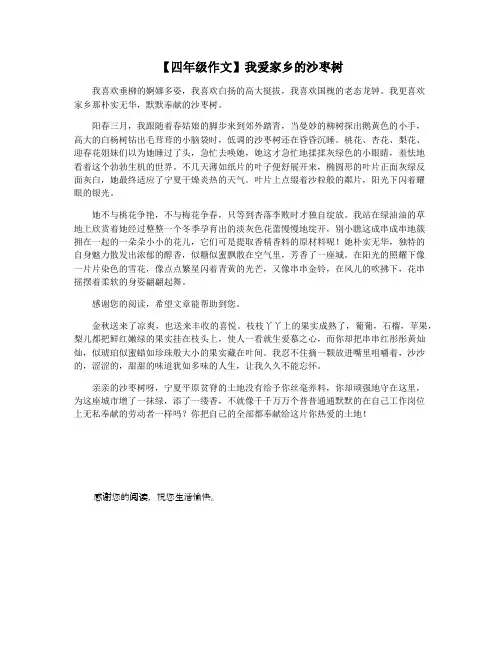 【四年级作文】我爱家乡的沙枣树