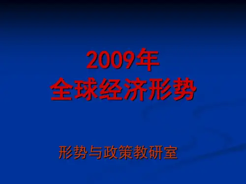 2009年全球经济形势
