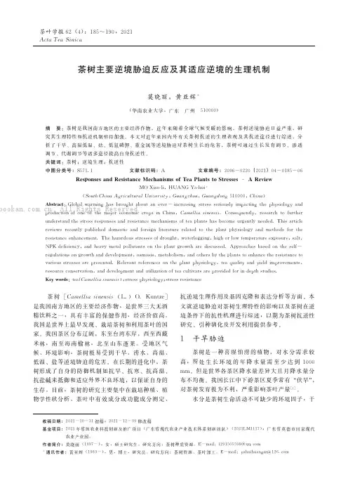 茶树主要逆境胁迫反应及其适应逆境的生理机制