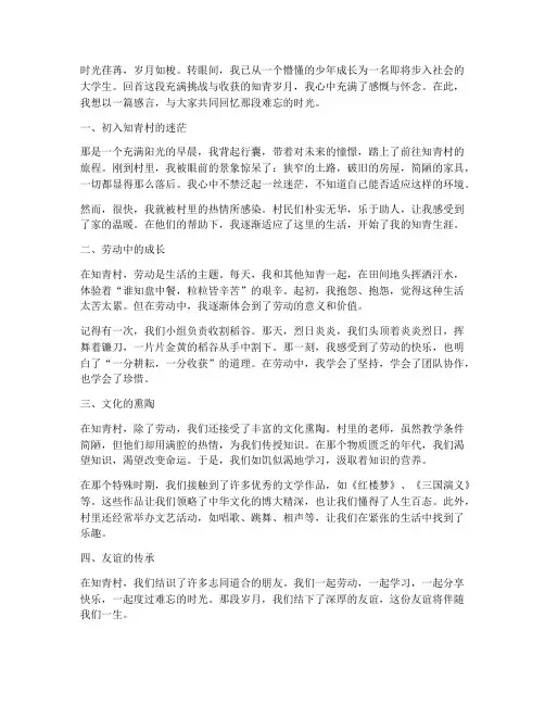 知青岁月感言大学生