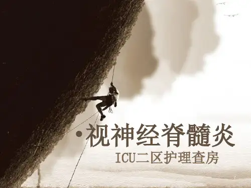 视神经脊髓炎护理查房