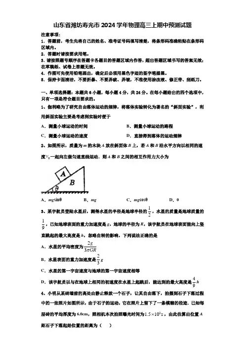 山东省潍坊寿光市2024学年物理高三上期中预测试题含解析