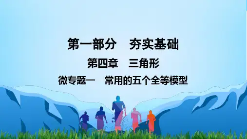 中考数学专题复习 常用的五个全等模型