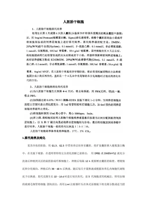 人胚胎干细胞分离培养与纯化