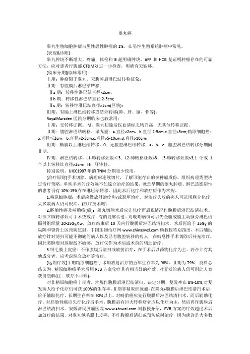 睾丸癌