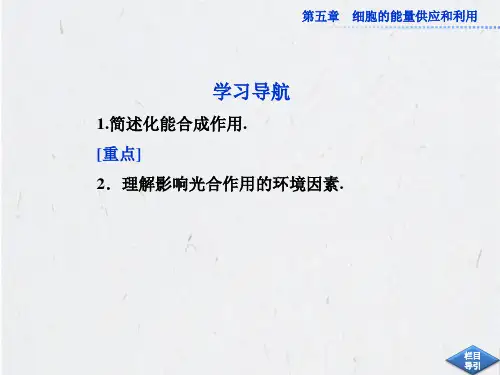 人教版生物必修1全册精品课件第五章第4节三