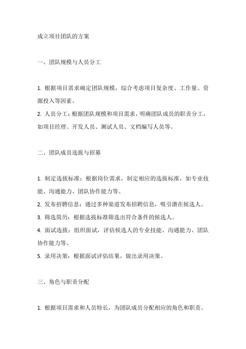 成立项目团队的方案