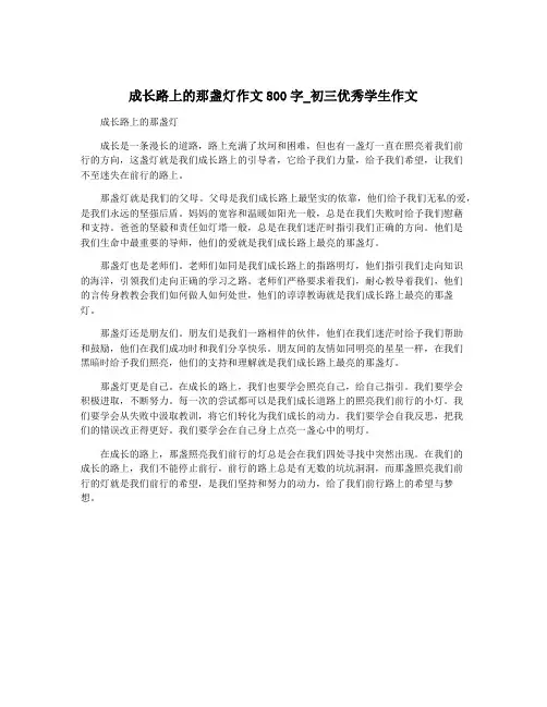 成长路上的那盏灯作文800字_初三优秀学生作文