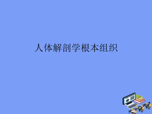 2021人体解剖学基本组织完美版PPT