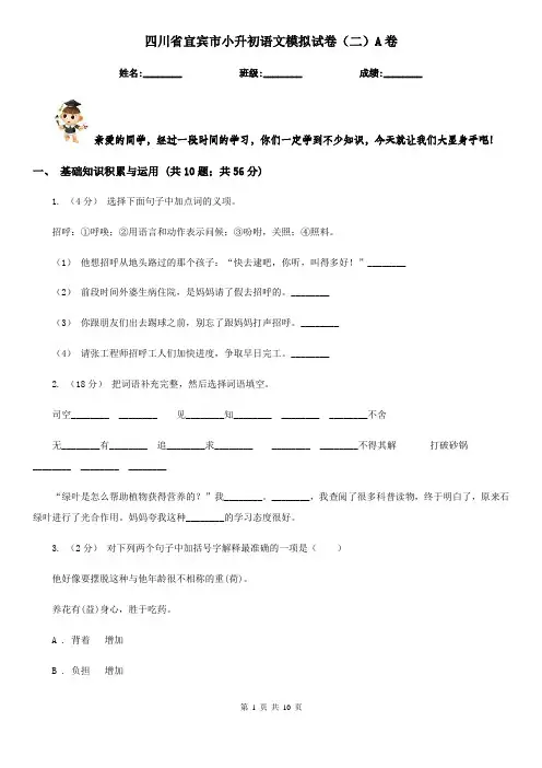 四川省宜宾市小升初语文模拟试卷(二)A卷