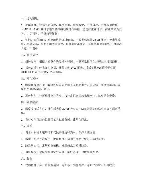 种植大棚土豆技术