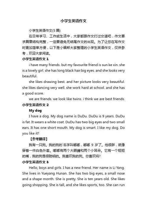 小学生英语作文（5篇）