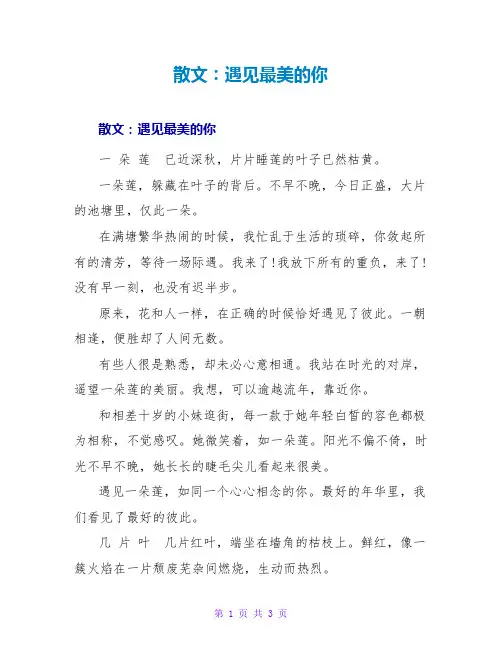 散文：遇见最美的你