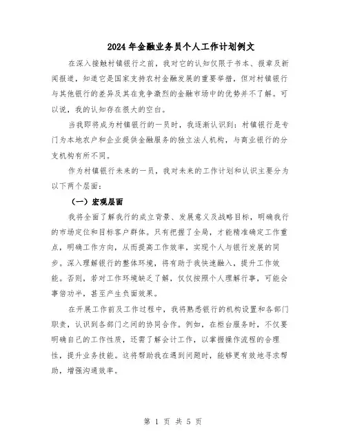 2024年金融业务员个人工作计划例文（3篇）