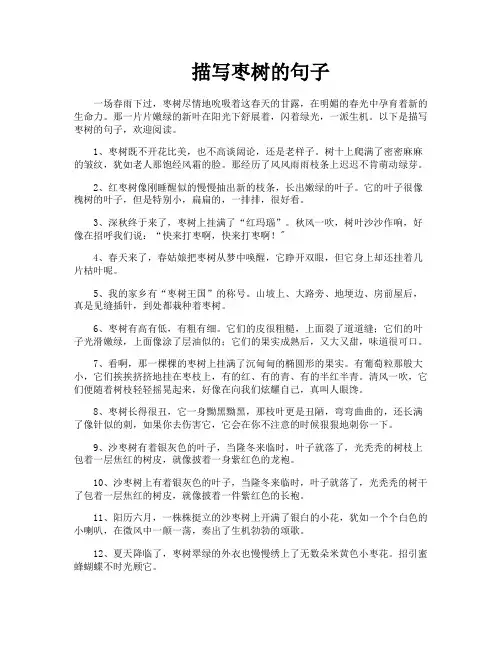 描写枣树的句子