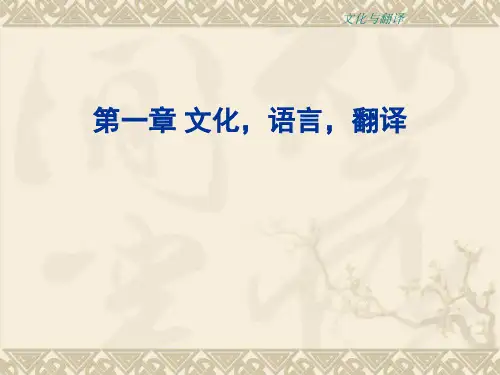 《文化语言翻译》PPT课件