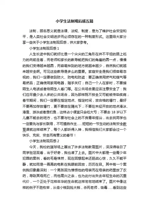 小学生法制观后感五篇
