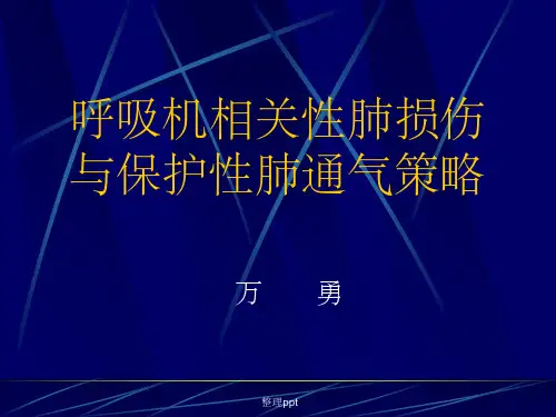 呼吸机相关肺损伤