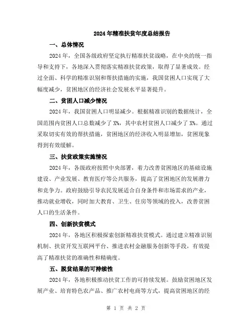 2024年精准扶贫年度总结报告