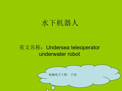 水下机器人