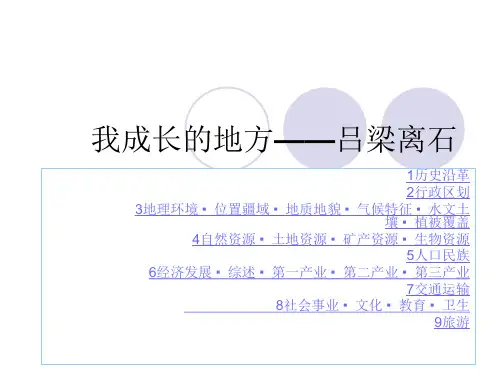 吕梁离石