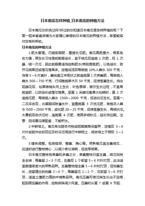 日本南瓜怎样种植_日本南瓜的种植方法