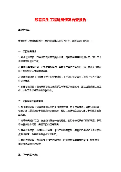 残联民生工程进展情况自查报告 (2)