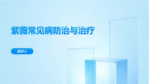 紫薇常见病防治与治疗